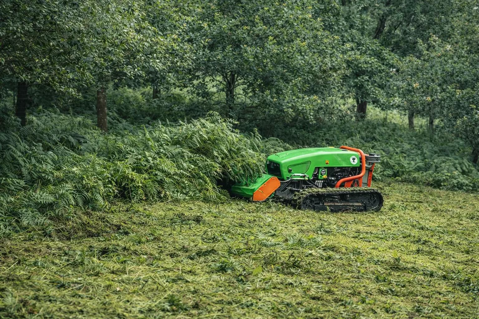 Hero Image of a robo mower